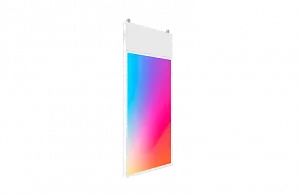 Lumien 43" LCBD4301FHD